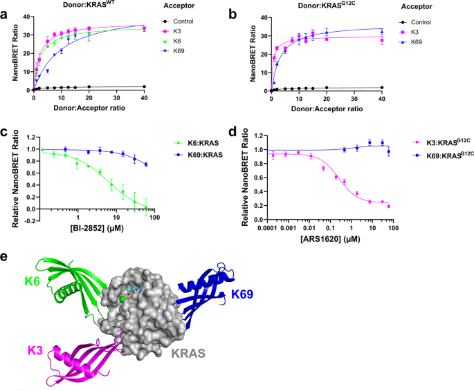 KRAS NanoBRET 可用于识别结合在 SI/SII 或 SII/α3 口袋中的小分子