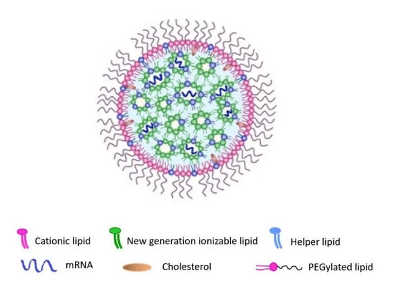 纳米颗粒脂质体(Lipid nanoparticles，LNPs)