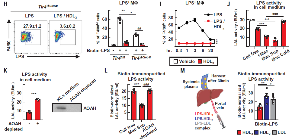 HDL?与LPS相结合以阻止LPS与TLR4受体的结合