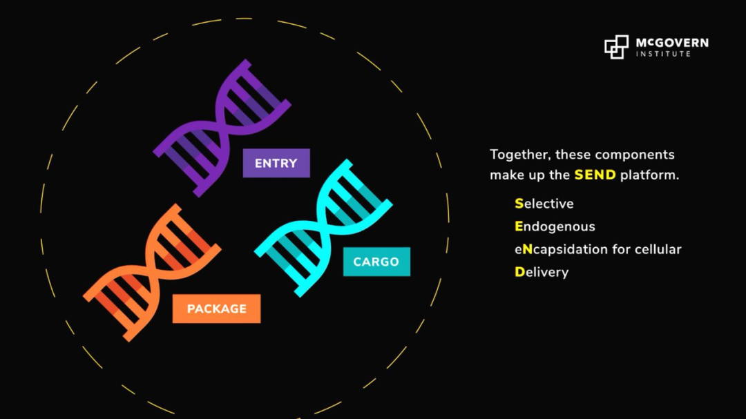 图 | 全新的 RNA 递送平台 SEND（来源：MIT）