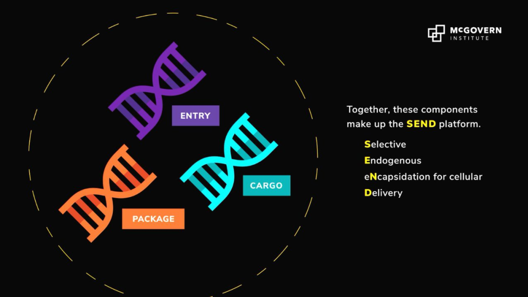 Science重磅：张锋领衔开发全新<font color='red'>mRNA</font>递送平台SEND，开辟分子疗法递送新方法