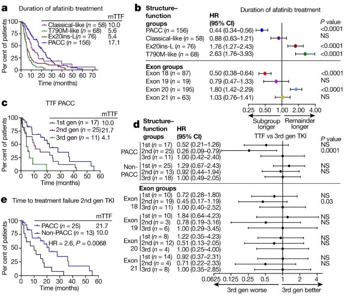 a：基于结构-功能分组时，使用afatinib治疗PACC突变相较于其他亚群具有更持久的药效； b：基于结构的分组方法，afatinib治疗有效的人数基于外显子方法的两倍； cd：基于结构-功能分组时，使用第二代TKIs治疗PACC突变相较于第一、三代具有更好的患者预后 e：基于结构-功能分组时，使用第二代TKIs治疗PACC突变相较于非PACC患者具有更好的患者预后