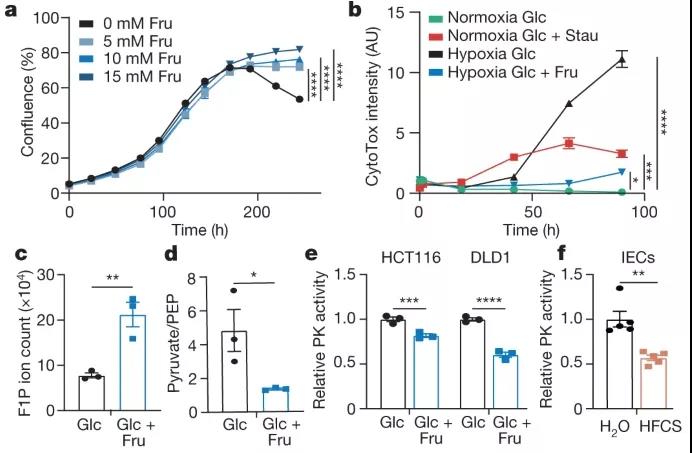 图注：果糖代谢增强缺氧细胞存活并降低丙酮酸激酶活性