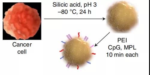 癌细胞低温硅化和PAMP表面功能化
