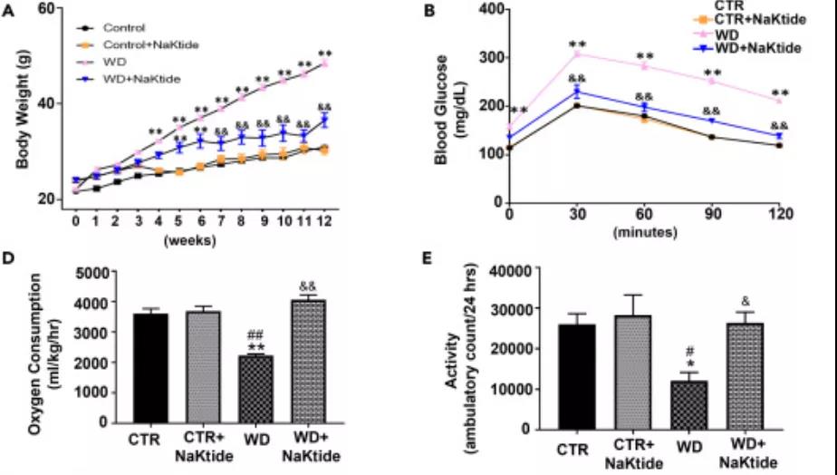 图注：NaKtide明显改善了小鼠的肥胖、运动、代谢失衡以及全身炎症