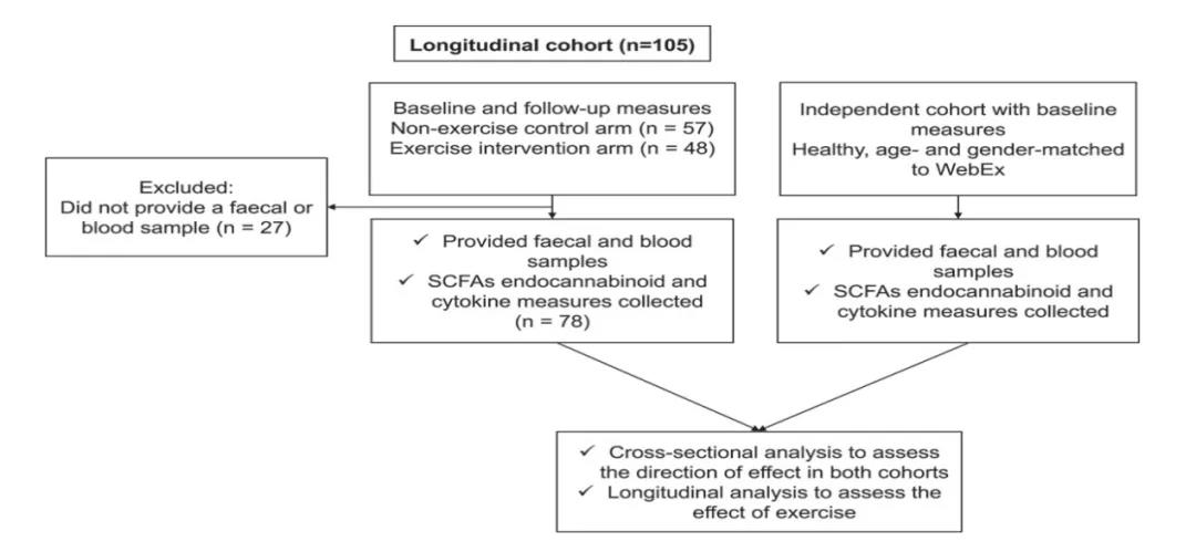 内源性大麻素与肠道微生物组组成、SCFA 和炎性细胞因子的关联使用两个年龄和性别匹配的独立队列进行横断面和纵向评估