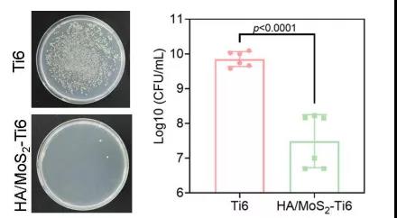 图注：HA/MoS2-Ti6种植体的抗菌活性