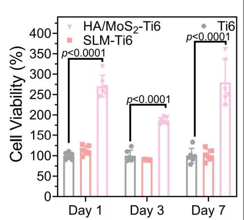 图注：在培养1天、3天和7天后，将间质干细胞与Ti6、SLM-Ti6和HA/MoS2-Ti6共培养，观察其细胞活力