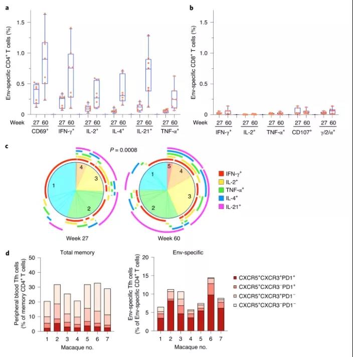 免疫猕猴中 Env 特异性 T 细胞反应的诱导