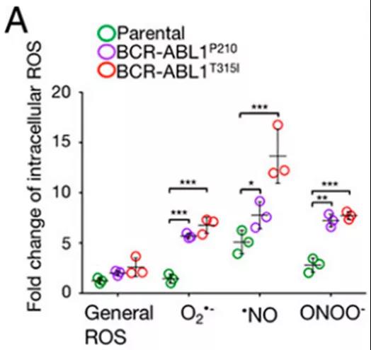 Tri-CAP处理后耐药的CML细胞内ROS水平更高（图源：PNAS杂志）