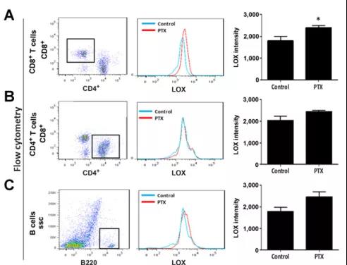 PTX处理后小鼠B细胞、CD4+T细胞和CD8+T细胞的LOX表达强度（图源：Cancer Research）