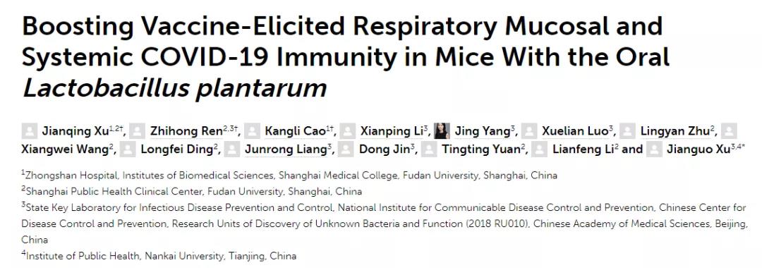 抗击新冠病毒又一助力！这种益生菌竟可显著增强新冠疫苗效果