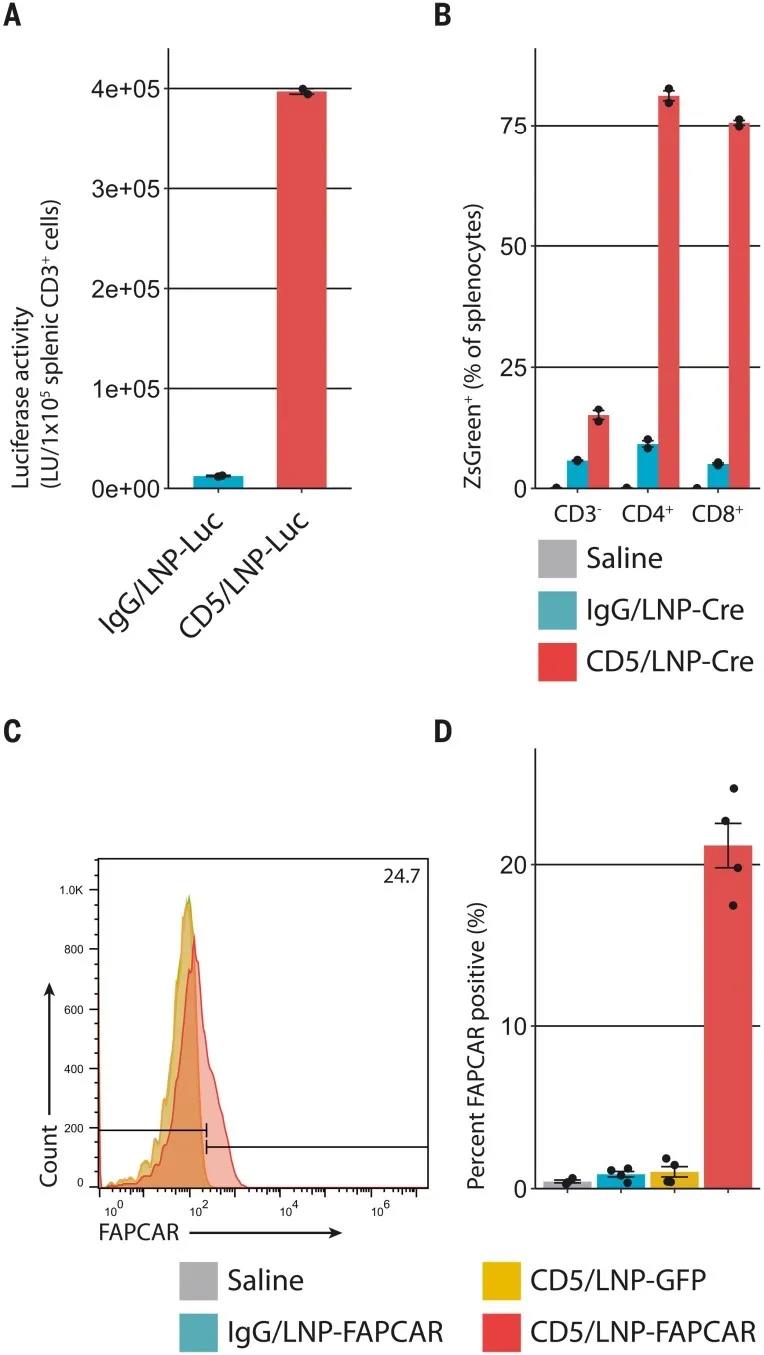  CD5靶向的LNP在体内产生基于mRNA的FAPCAR T细胞（图源：Science）
