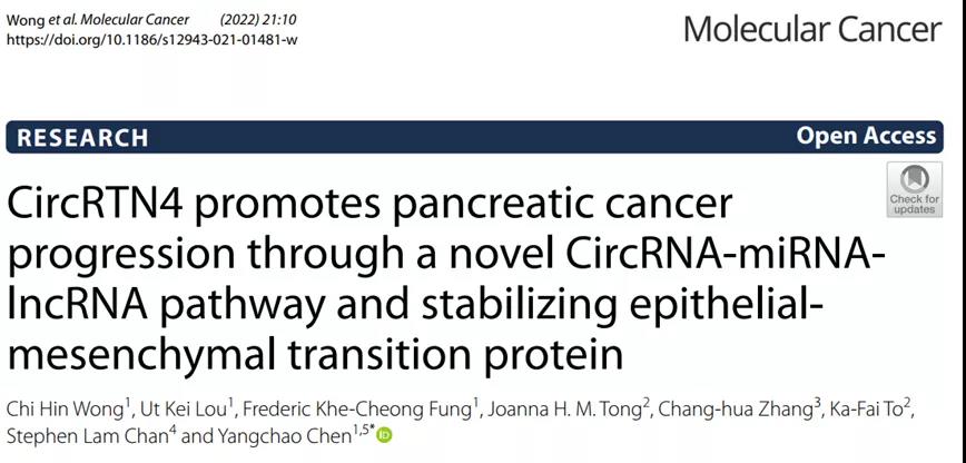 研究成果（图源: Molecular Cancer）