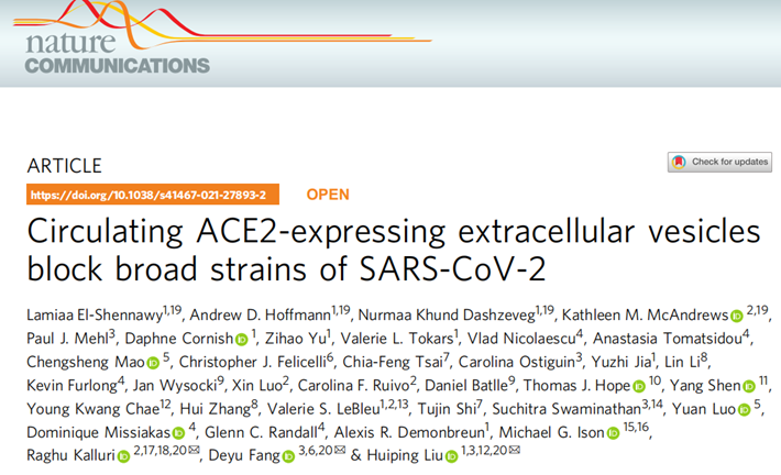 研究成果：囊泡-evACE2具有先天广谱抗病毒机制