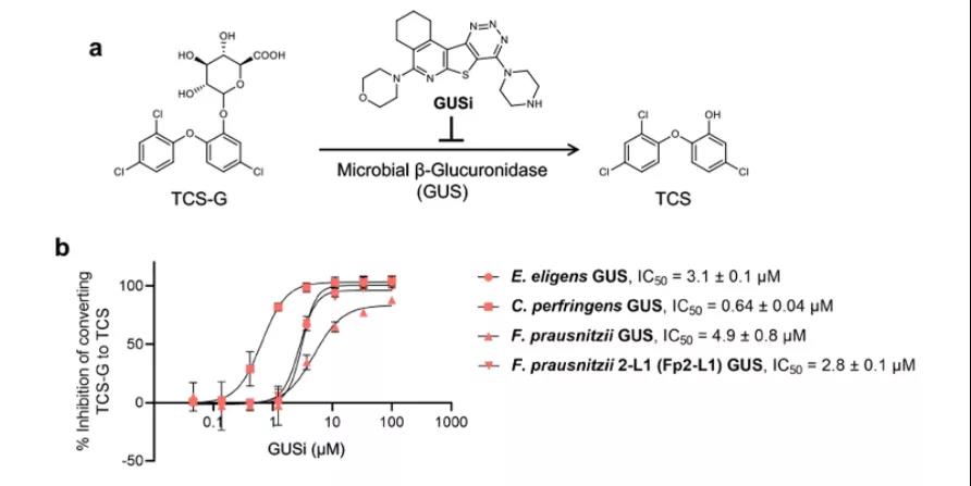 GUSi抑制肠道微生物GUS酶将TCS-G转化为TCS（图源：Nature Communication）