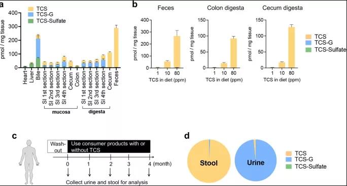 小鼠和人类暴露于TCS之后导致结肠中游离TCS的积累（图源：Nature Communication）