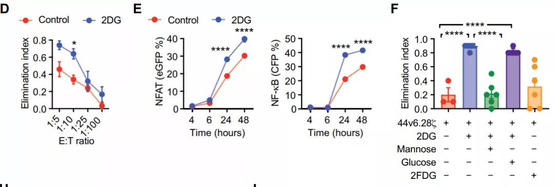 2DG处理后胰腺癌对44v6.28细胞敏感度的影响（图源：STM）