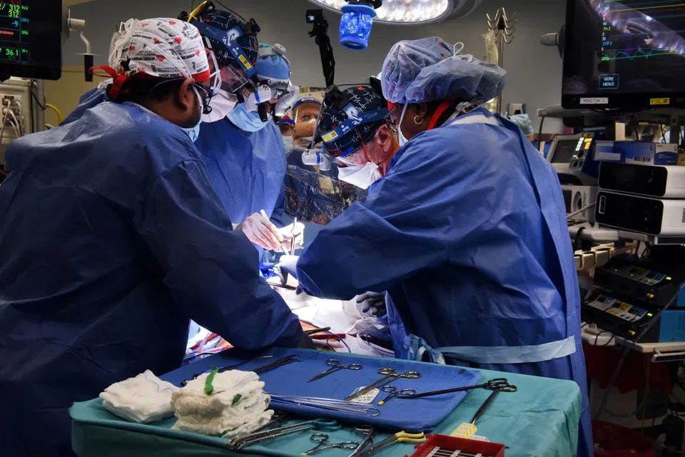 全球首例！美国一名57岁患者成功移植猪的心脏，目前状况良好