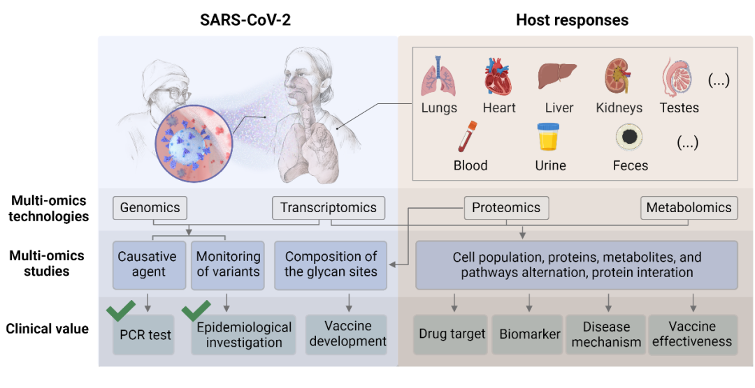关于SARS-CoV-2和宿主反应的多组学研究