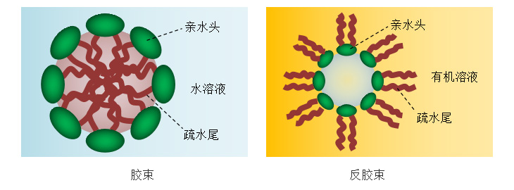 表面活性剂在溶液中形成胶束