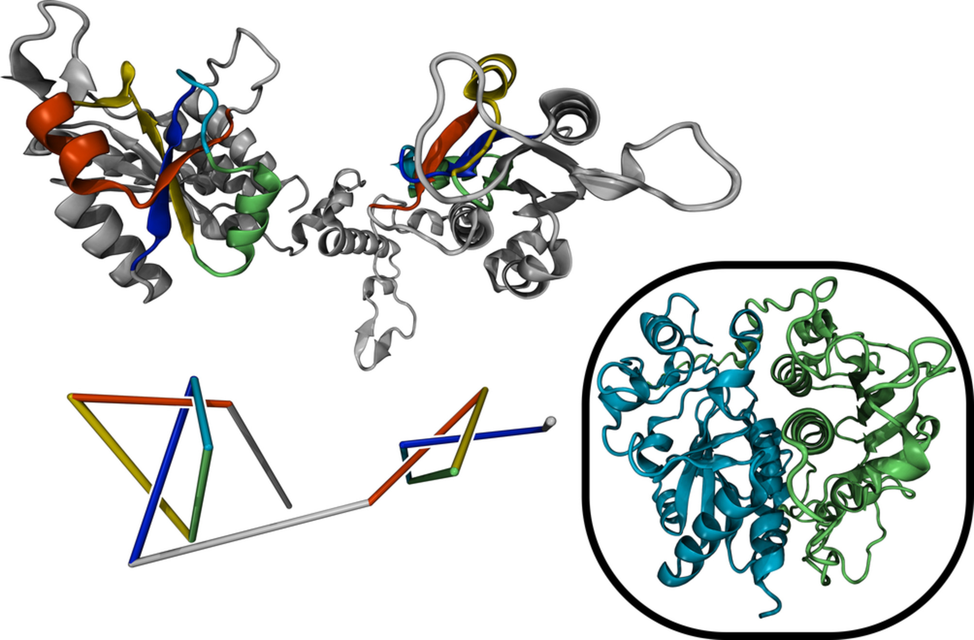 蛋白质Q313J9（甲基转移酶）中六交叉复合结的3D结构（顶部）和简化表示（底部）