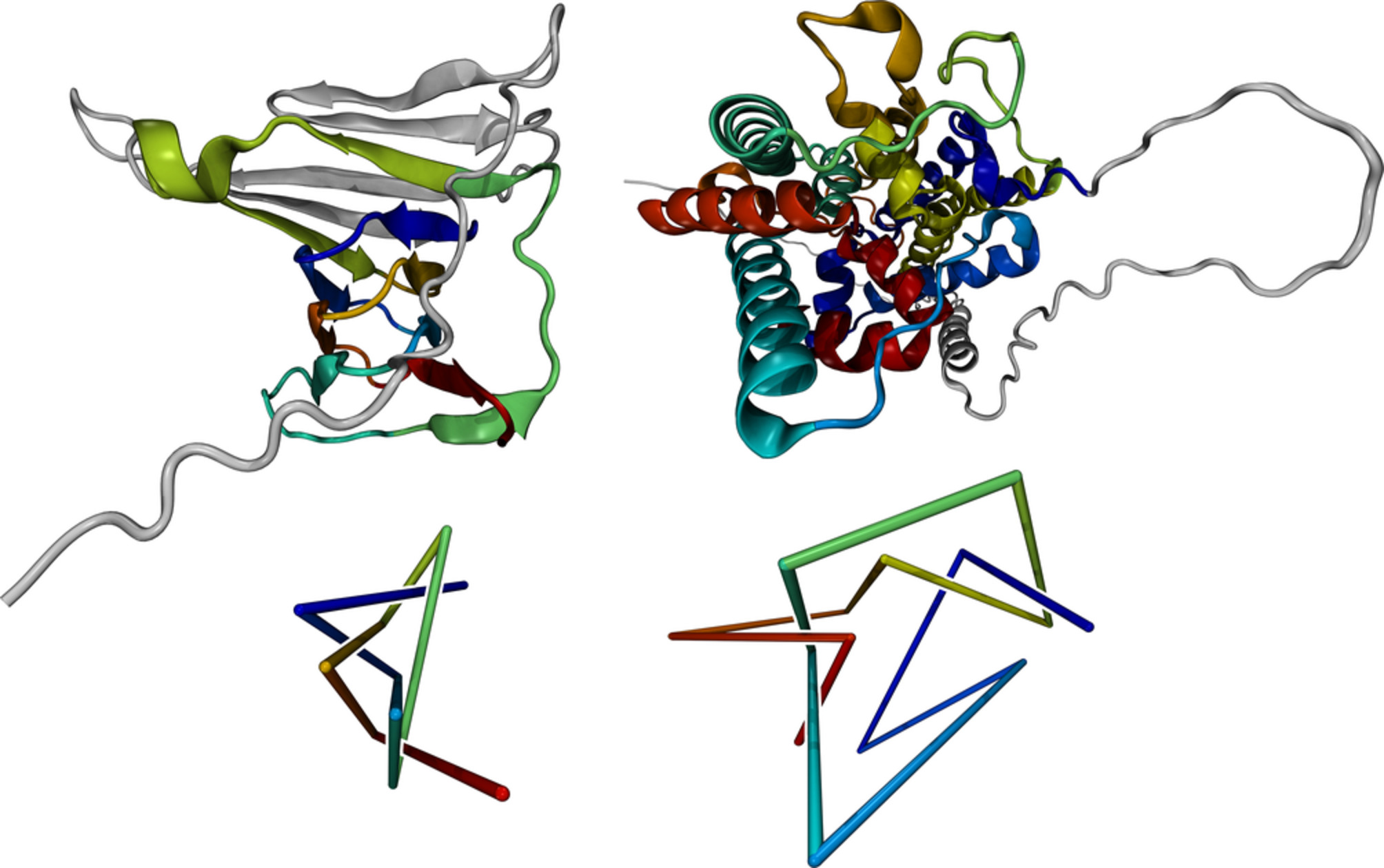 蛋白质A0A0K0IQS9（左）和C1GYM9（右）的结构和拓扑