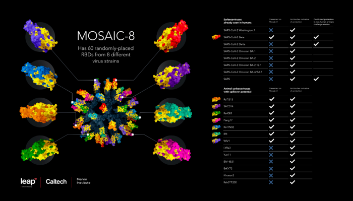 Mosaic-8疫苗由来自8种不同病毒的RBD组成