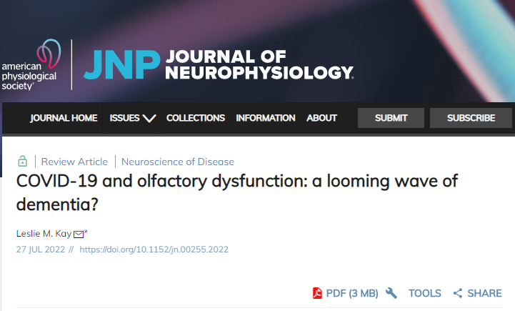 COVID-19 and olfactory dysfunction: a looming wave of dementia?