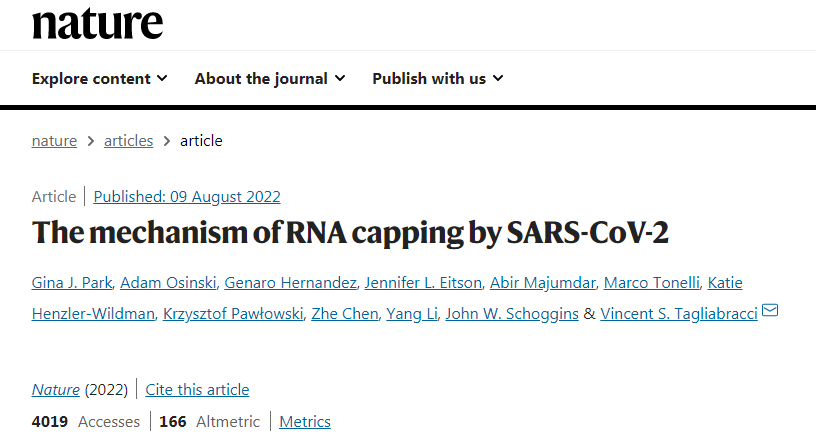 有关新冠病毒如何构建RNA帽结构的论文发表在Nature杂志上