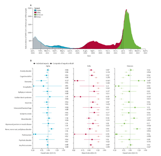 美国不同新冠变体出现前后的神经和精神疾病风险