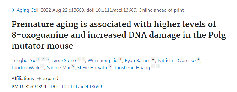 早衰与高水平的8-氧代鸟嘌呤和DNA损伤增加正相关