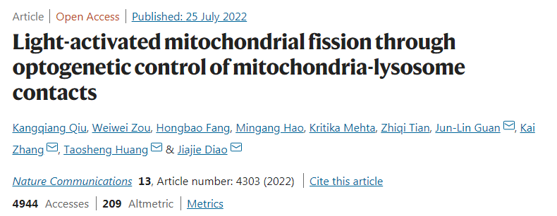 通过线粒体-溶酶体接触的光遗传学控制光激活线粒体分裂