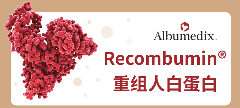 Recombumin重组人蛋白