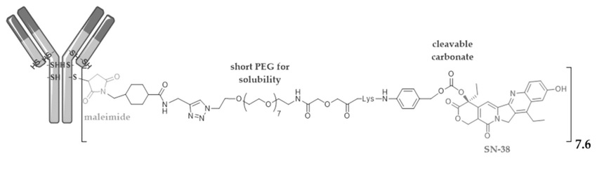 anti-TROP2 Trodelvy&reg;（sacituzumab govitecan or IMMU-132）