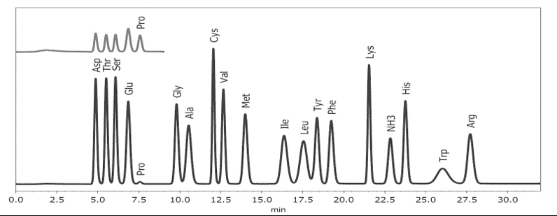 氨基酸分析案例1