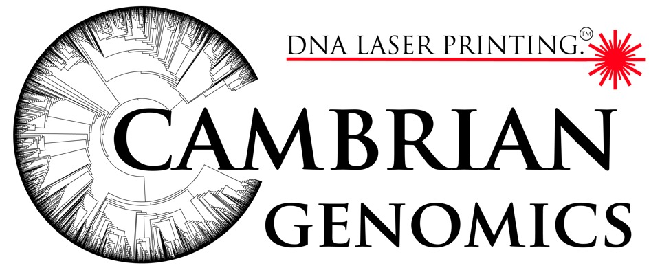 饱受争议的DNA激光打印，激发创造新生物的可能性