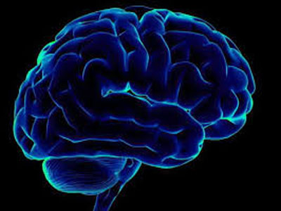 大脑铁蛋白水平可预测阿尔茨海默氏症发展