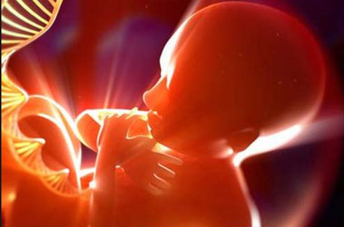 美国国会出手阻止编辑人类胚胎