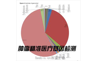 关注肿瘤精准医疗基因检测