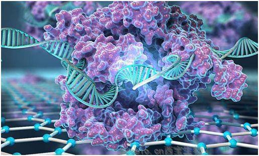 Nature子刊：开发出可在几分钟内检测基因突变的CRISPR芯片