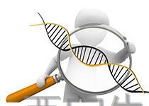 Cell:<font color='red'>DNA</font>读取复制研究获进展 有望找到遗传病治疗方案