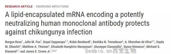 新颖！这种m<font color='red'>RNA</font>有望带来新型免疫疗法