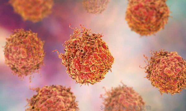 Cancer Discovery：阻断特定的蛋白质可以为致命的前列腺癌提供新的治疗方法