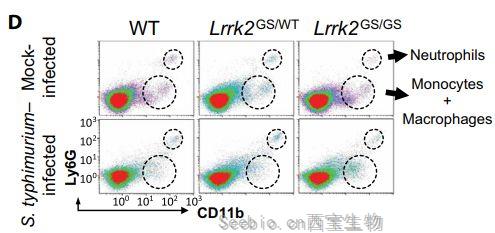 Science子刊：Lrrk2等位基因在<font color='red'>小鼠</font>的微生物感染过程中以性别依赖的方式调节炎症