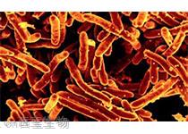 Nature: 人类肠道细菌具有获得性细菌防御系统
