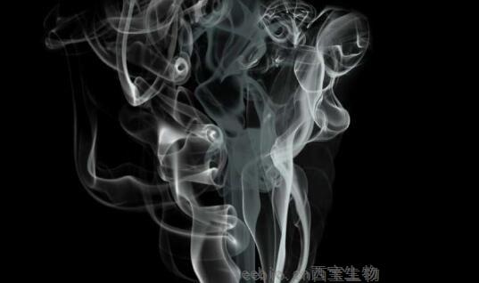 Circulation：吸烟会改变肠道菌群 戒烟也会改变肠道菌群 到底吸烟还是戒烟？