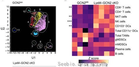Science子刊：揭示GCN2抑制肿瘤微环境中的抗肿瘤免疫反应