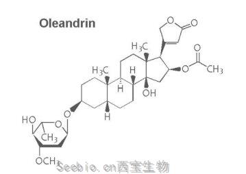 JAA：夹竹桃苷或可有效治疗HTLV-1病毒感染