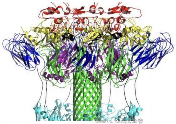 PNAS：科学家有望开发出治疗艰难梭菌<font color='red'>感染</font>的新型药物疗法